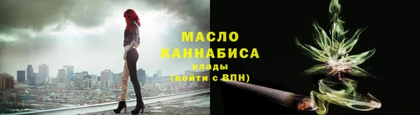 МДПВ Пересвет