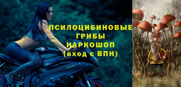 не бодяженный Алексин