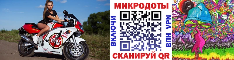 Псилоцибиновые грибы мухоморы  Нерехта 